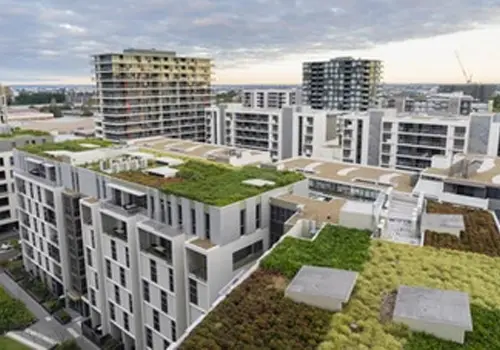 Your Essential Two-Step Guide to Sustainability