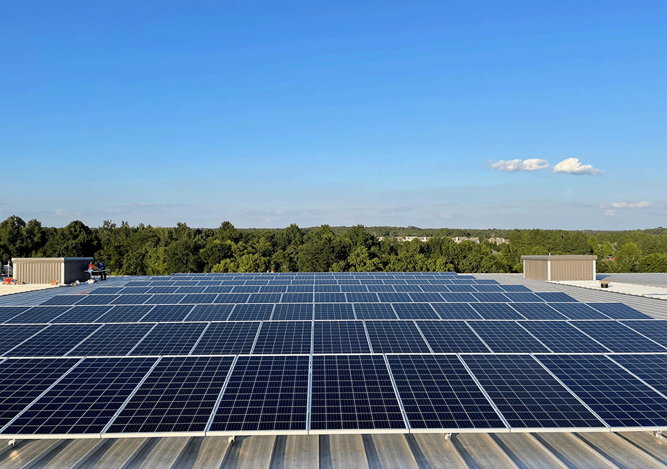 The Impact of President Biden Raising Section 201 Tariff Rate Quota