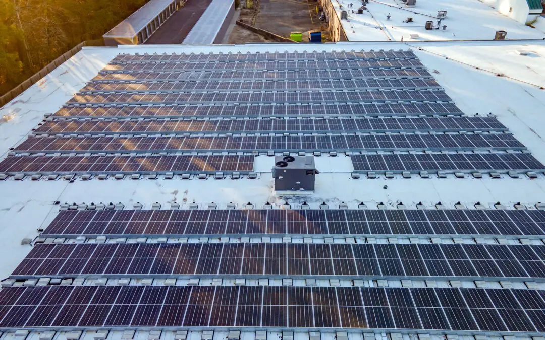 Avoid These 7 Mistakes When Planning Your First Commercial Solar Project