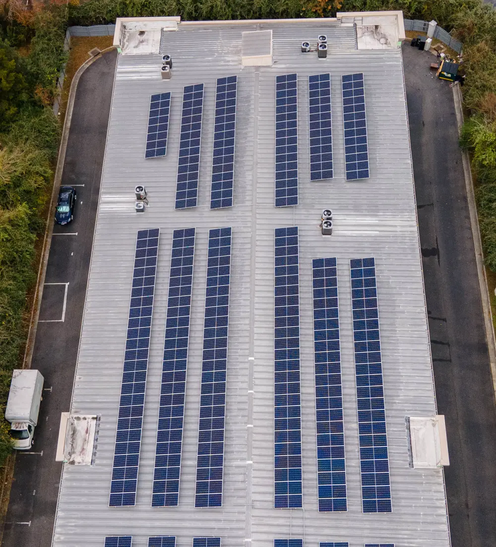 Go Green, Gain an Edge