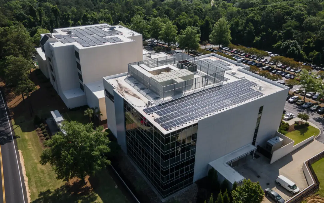 What Businesses Should Know About Solar Module Degradation and Long-Term Performance