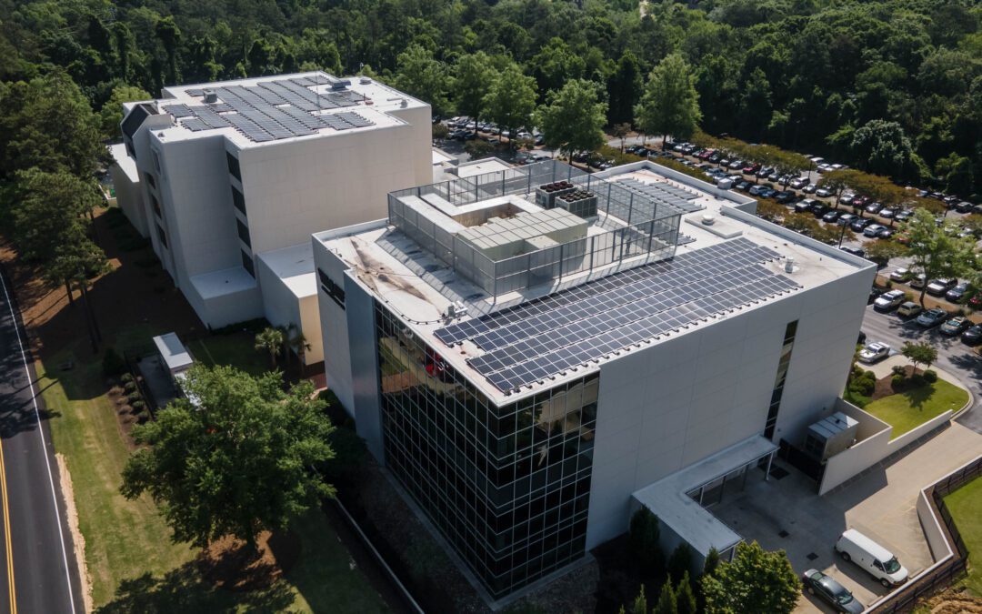 What Businesses Should Know About Solar Module Degradation and Long-Term Performance